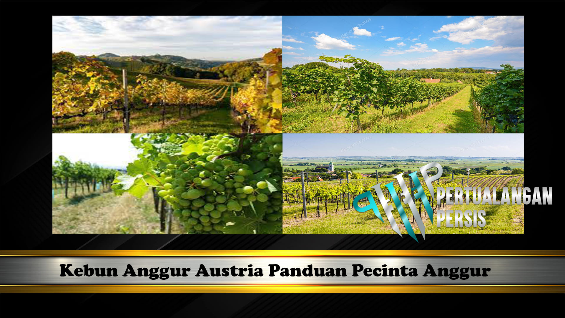 Kebun Anggur Austria Panduan Pecinta Anggur
